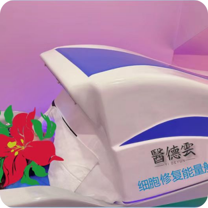 细胞能量修复